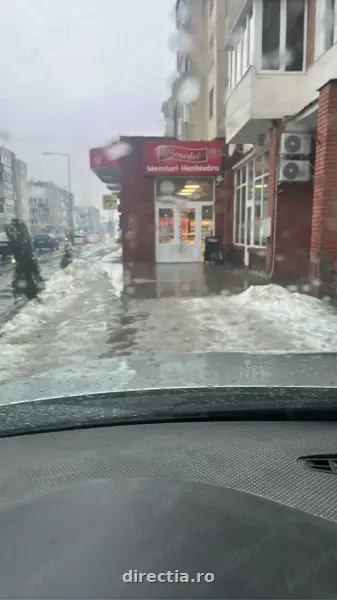 Poza anunț 7