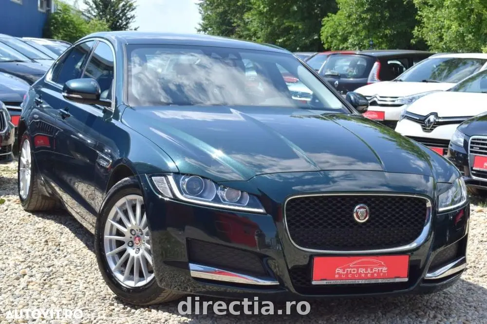 Poza principală