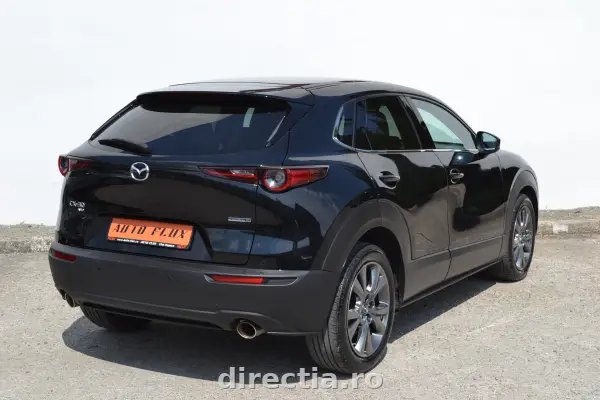 Poza anunț 6