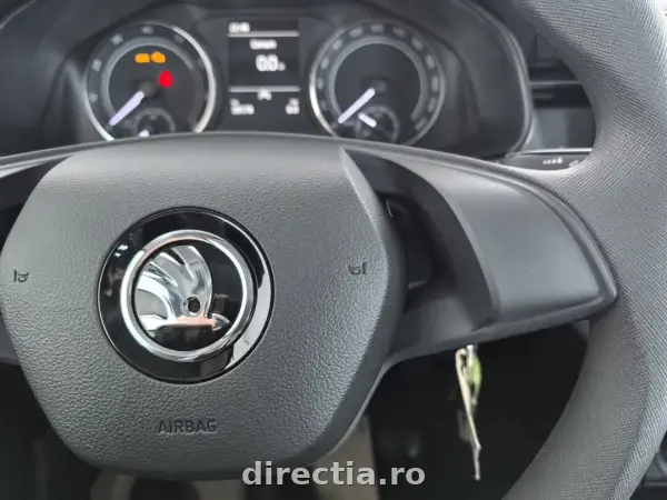 Poza anunț 20