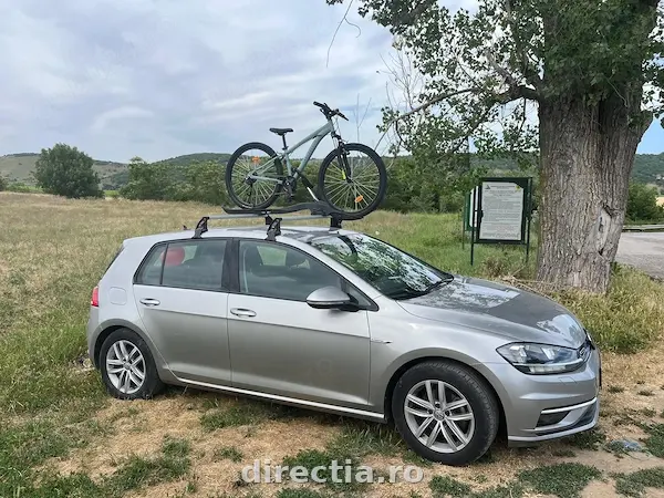 Poza principală