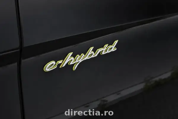 Poza anunț 9