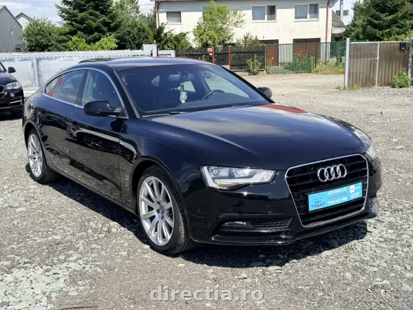 Poza anunț 1