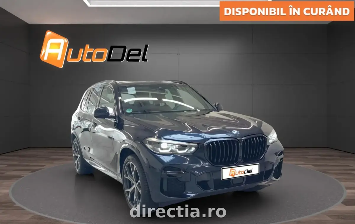 Poza principală
