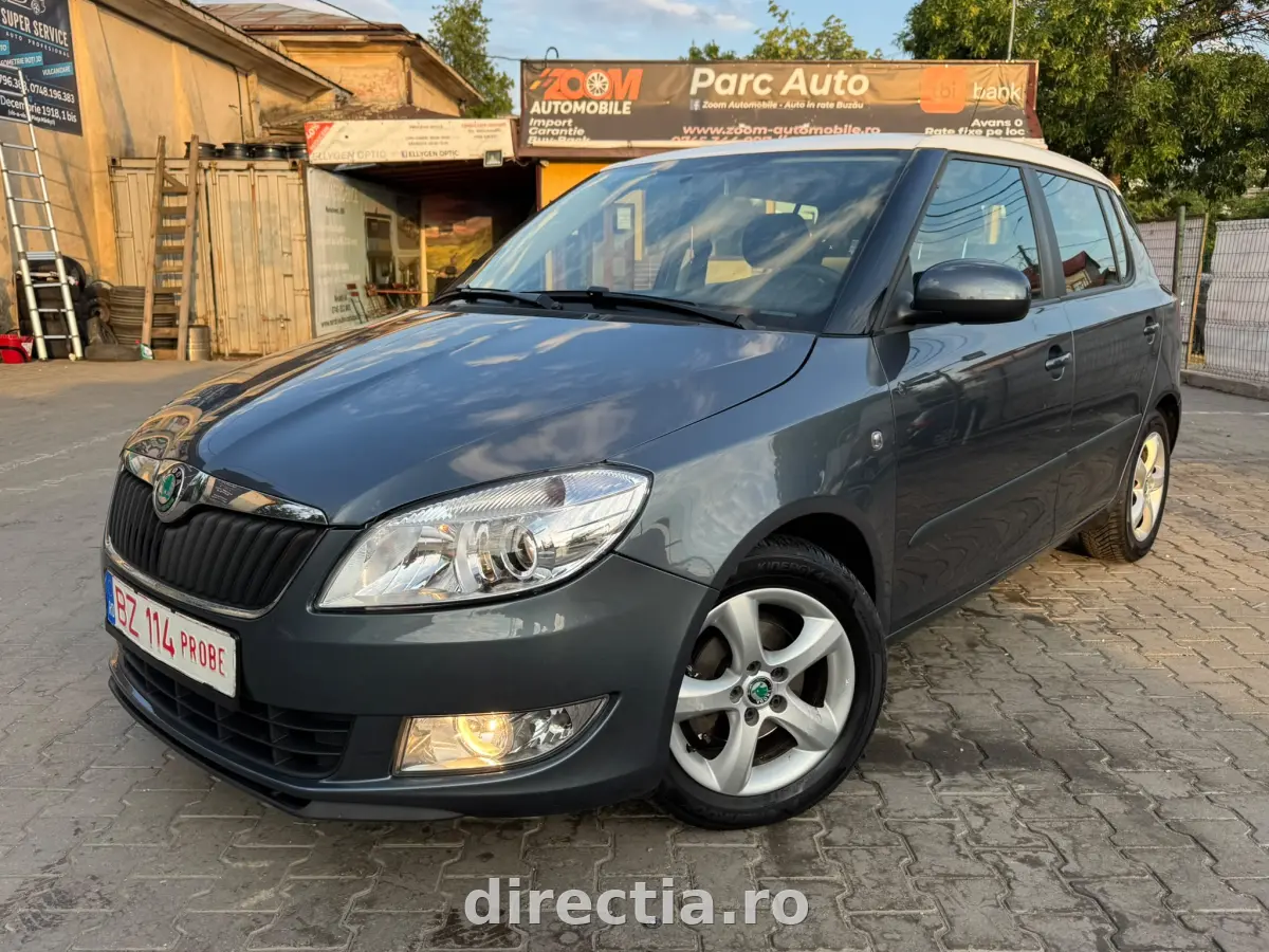 Poza principală