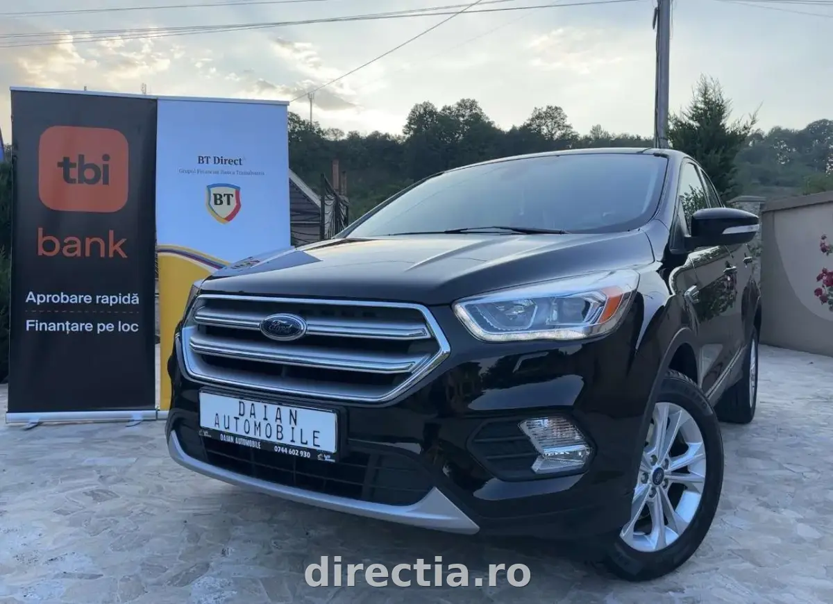 Poza principală