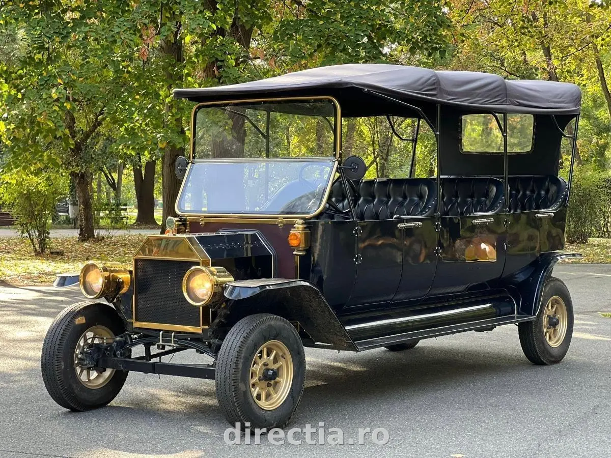 Poza principală