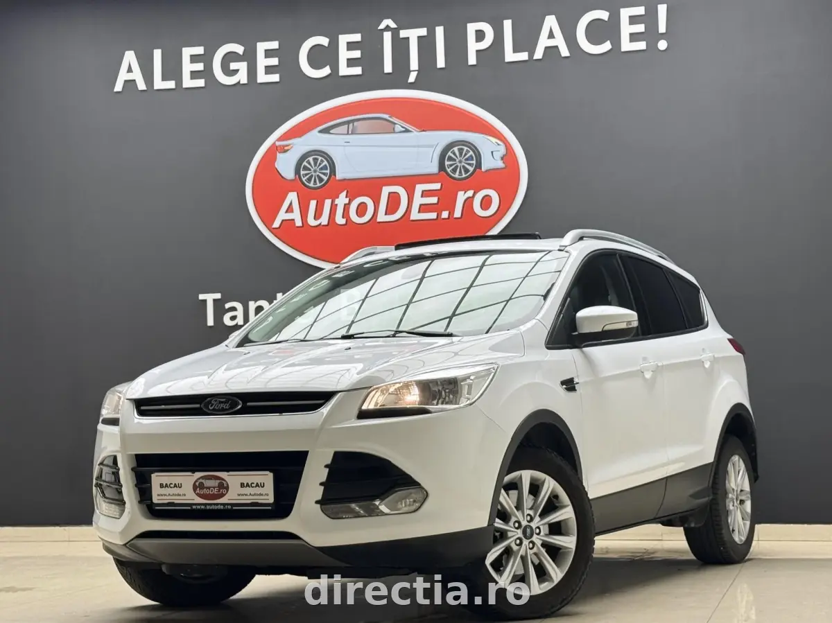 Poza principală
