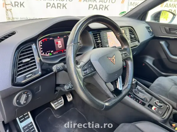 Poza anunț 13
