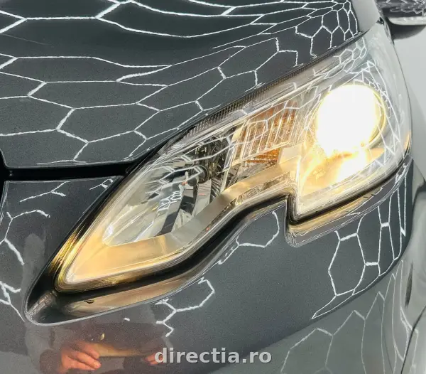 Poza anunț 10