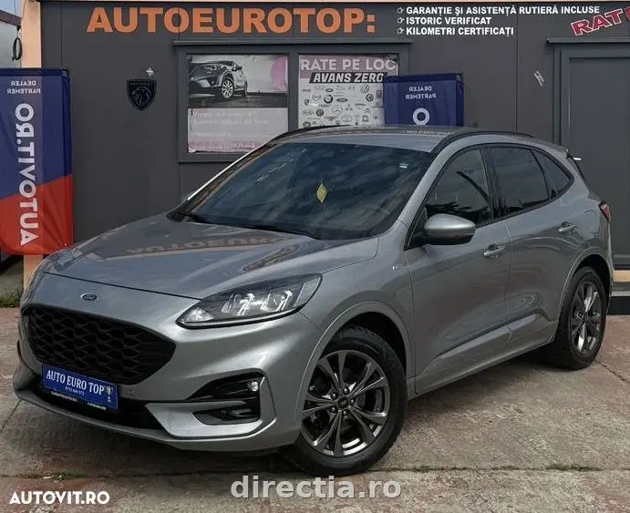 Poza principală
