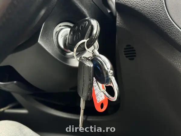 Poza anunț 19
