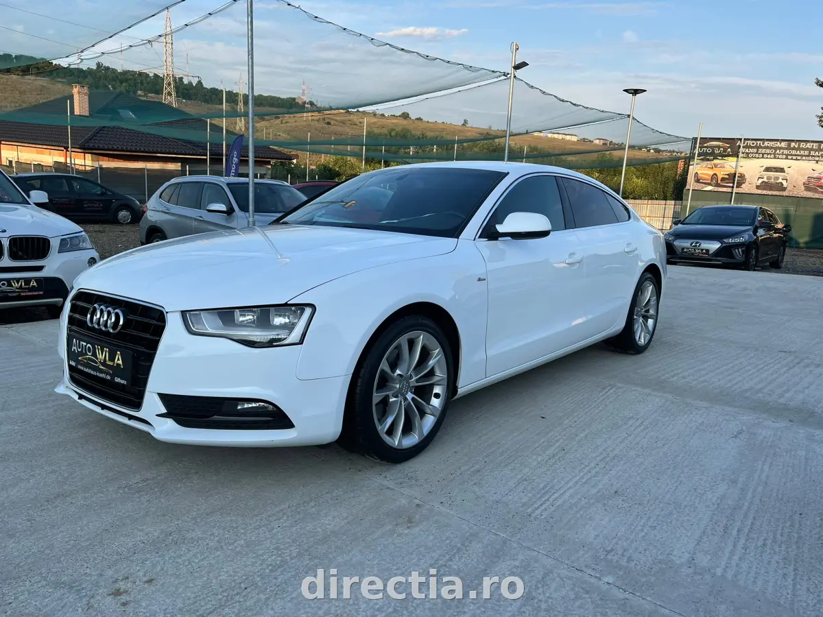 Poza principală