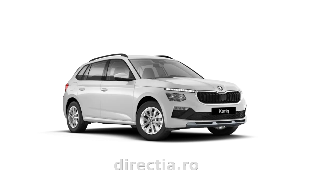 Poza principală