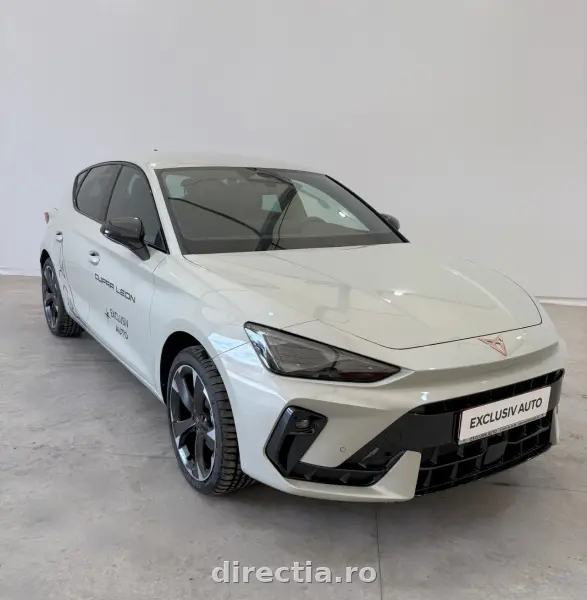 Poza anunț 1