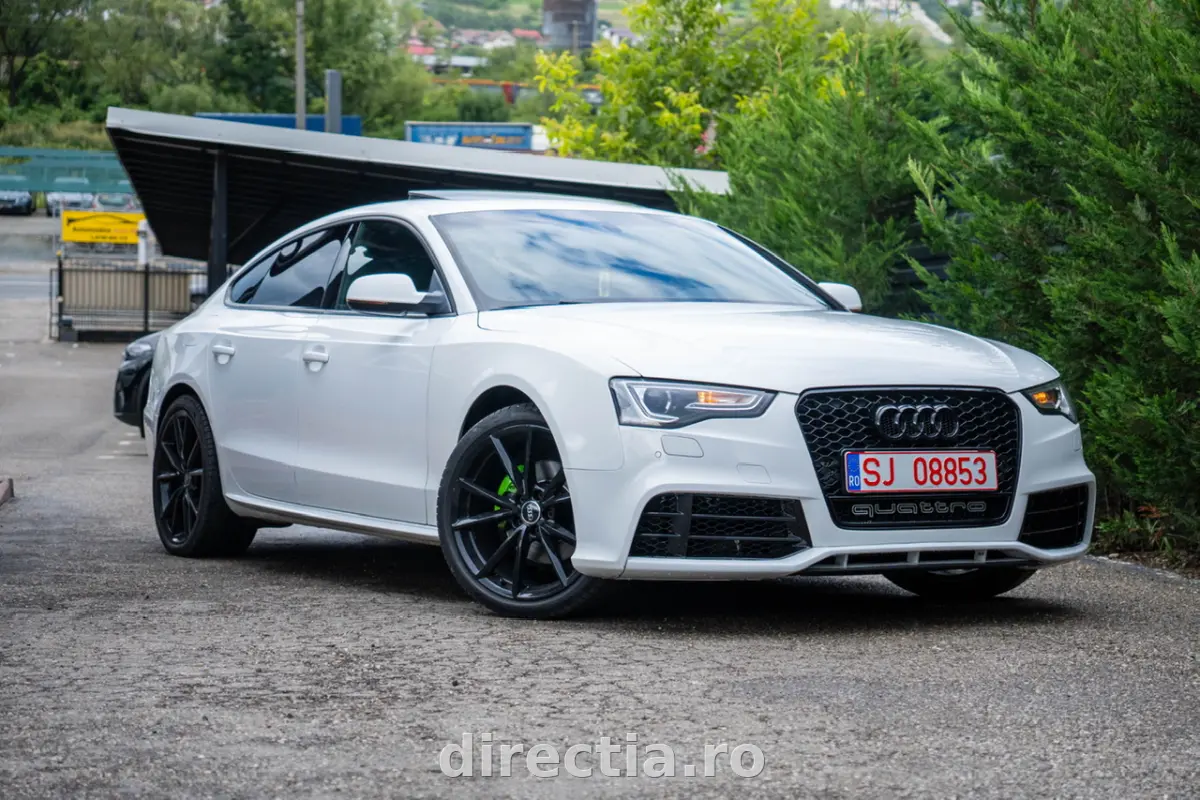 Poza principală