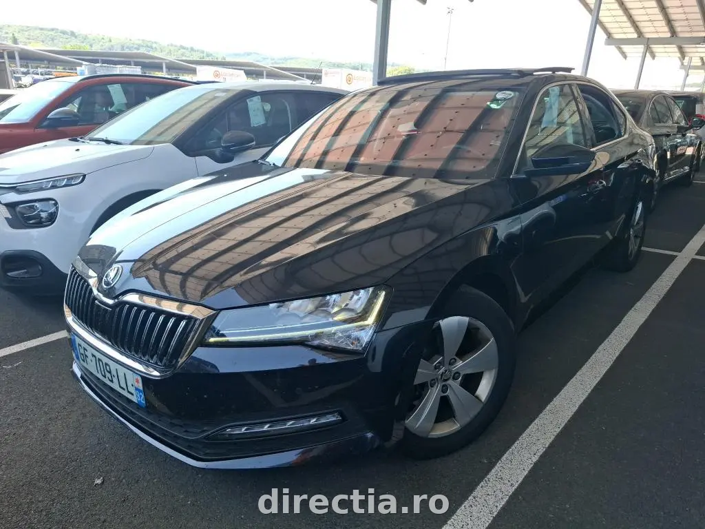 Poza principală