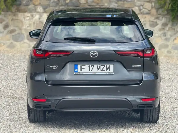 Poza anunț 10