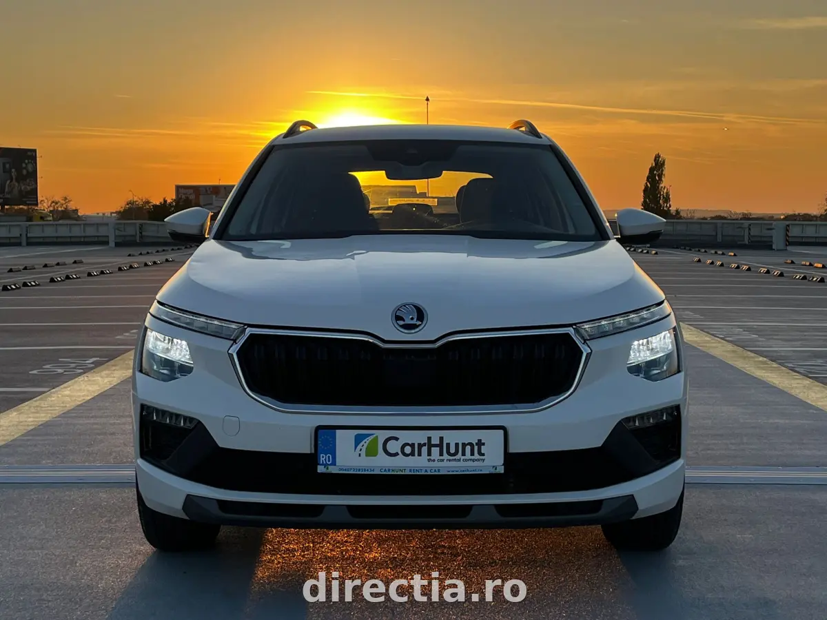 Poza principală