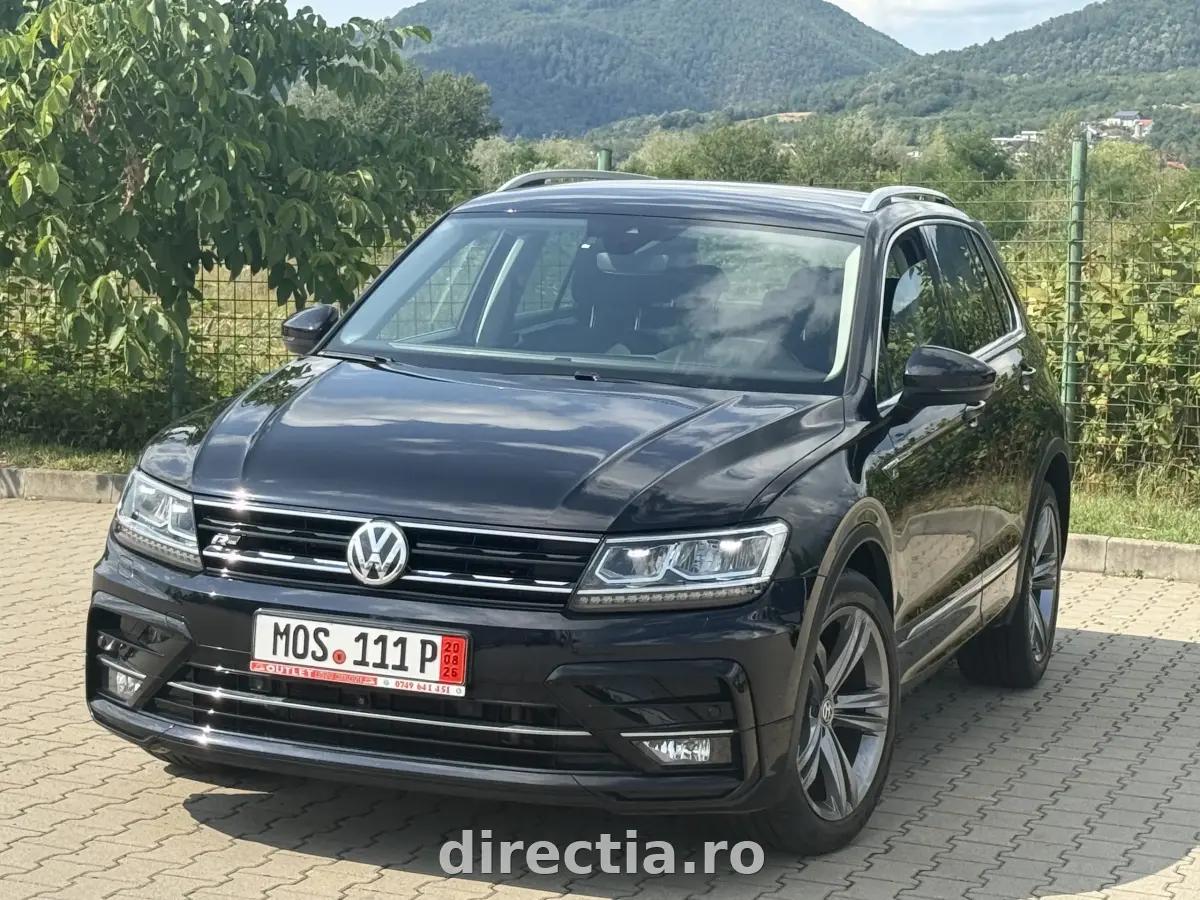 Poza principală