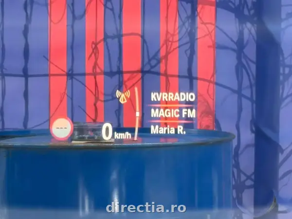 Poza anunț 36