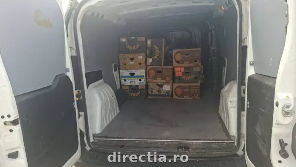 Poza anunț 19