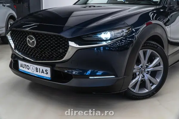 Poza anunț 10