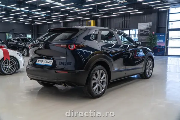 Poza anunț 7