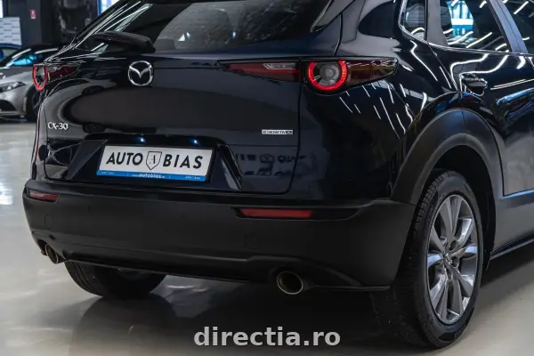 Poza anunț 13