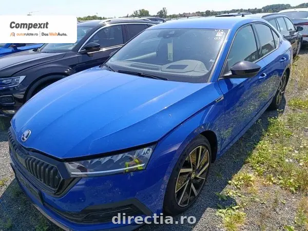Poza principală