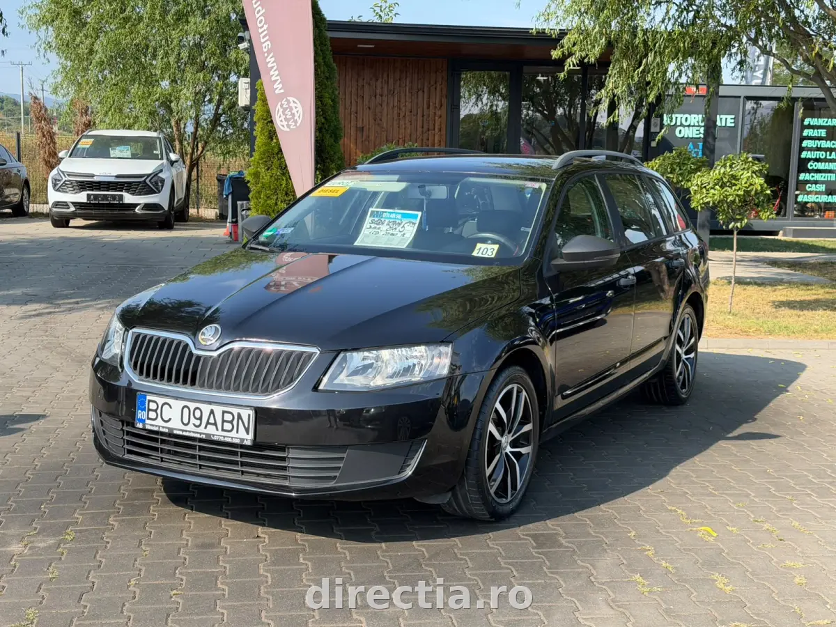 Poza principală