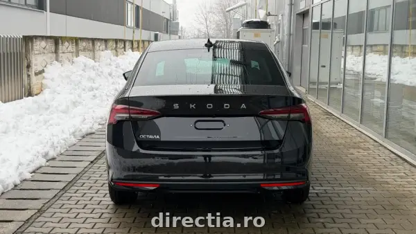 Poza anunț 5