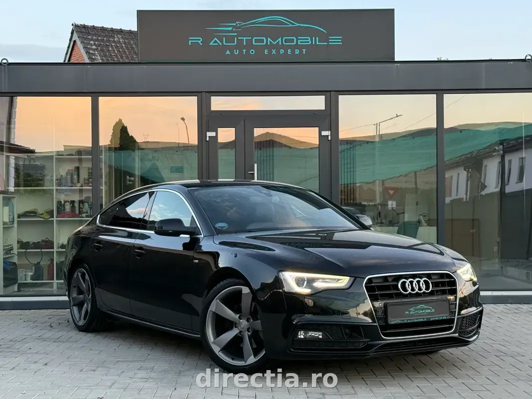 Poza principală
