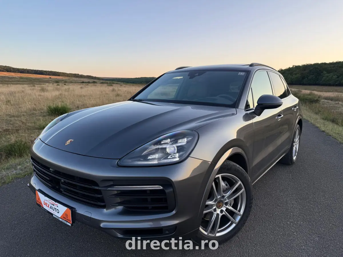 Poza principală