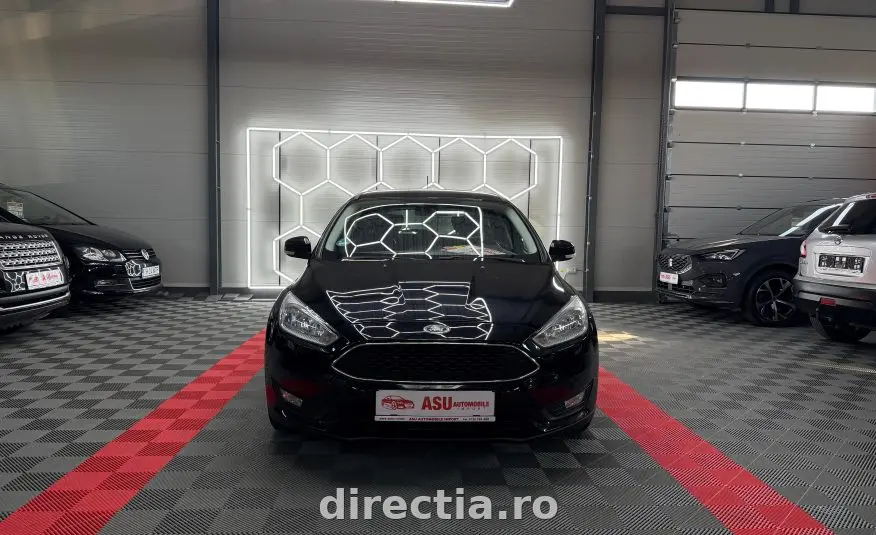 Poza principală