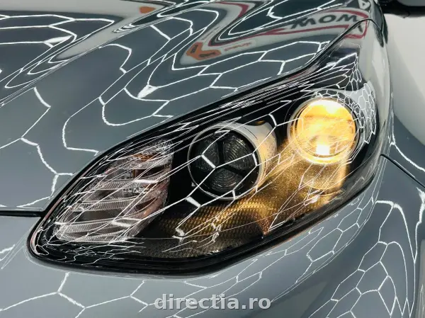 Poza anunț 11