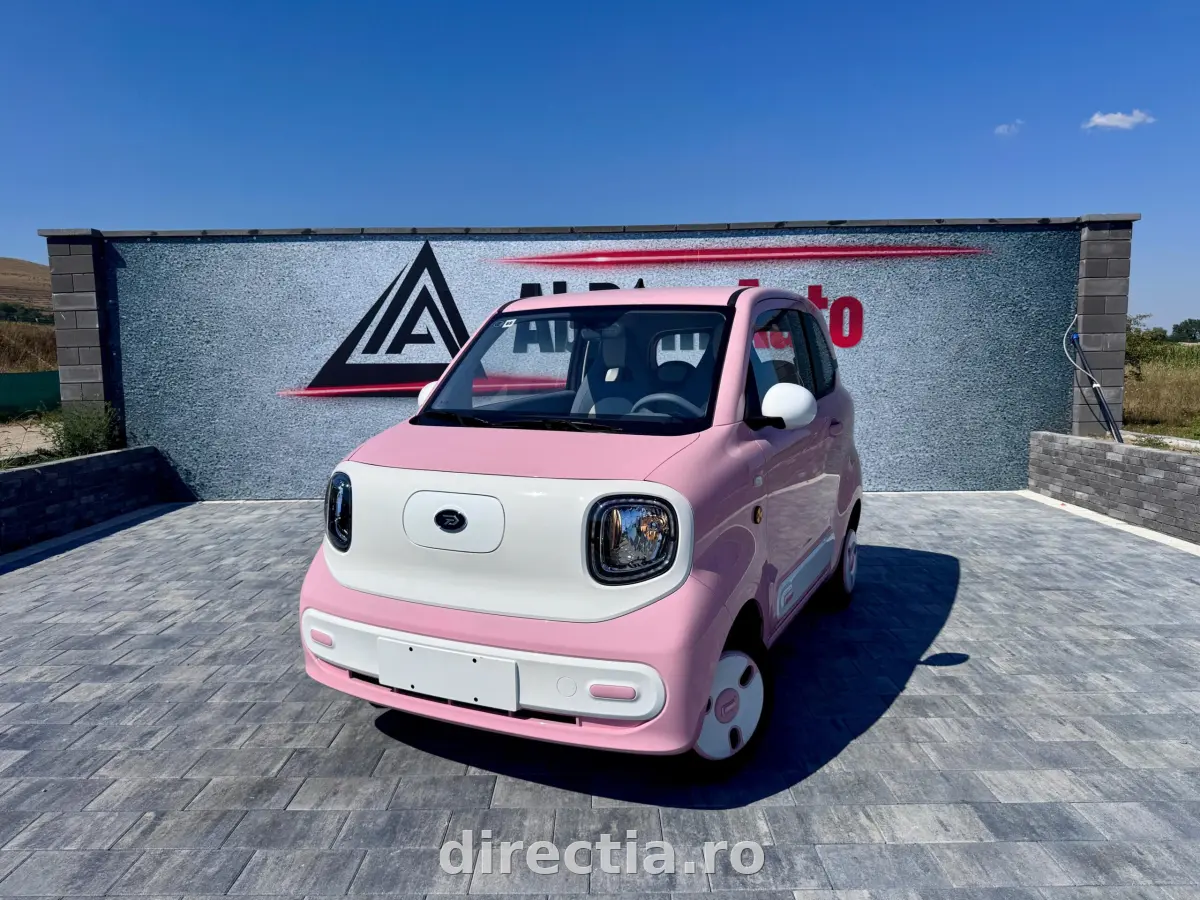 Poza principală