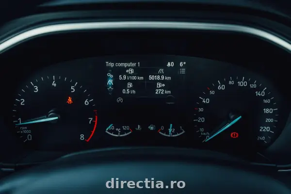 Poza anunț 8