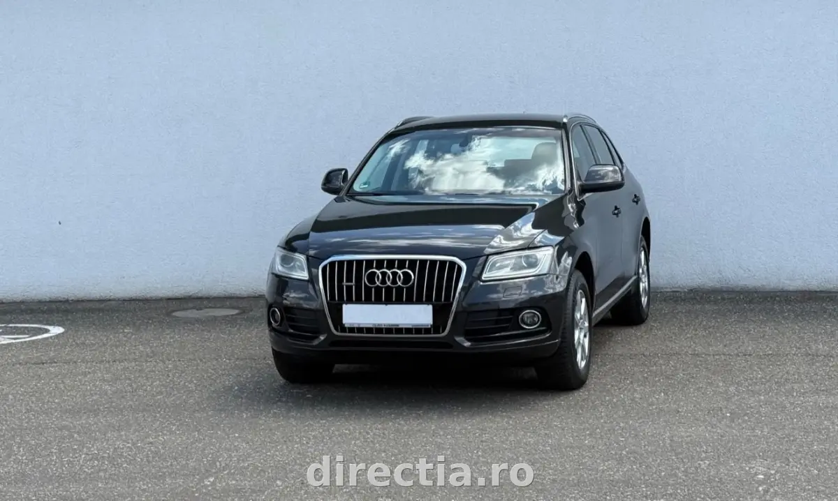 Poza principală