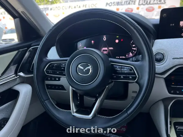Poza anunț 10