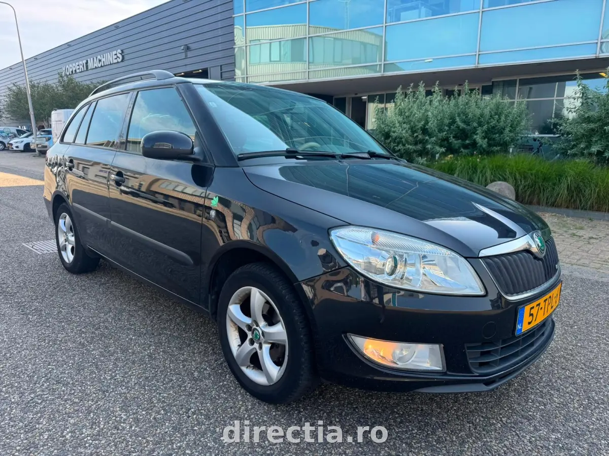 Poza principală