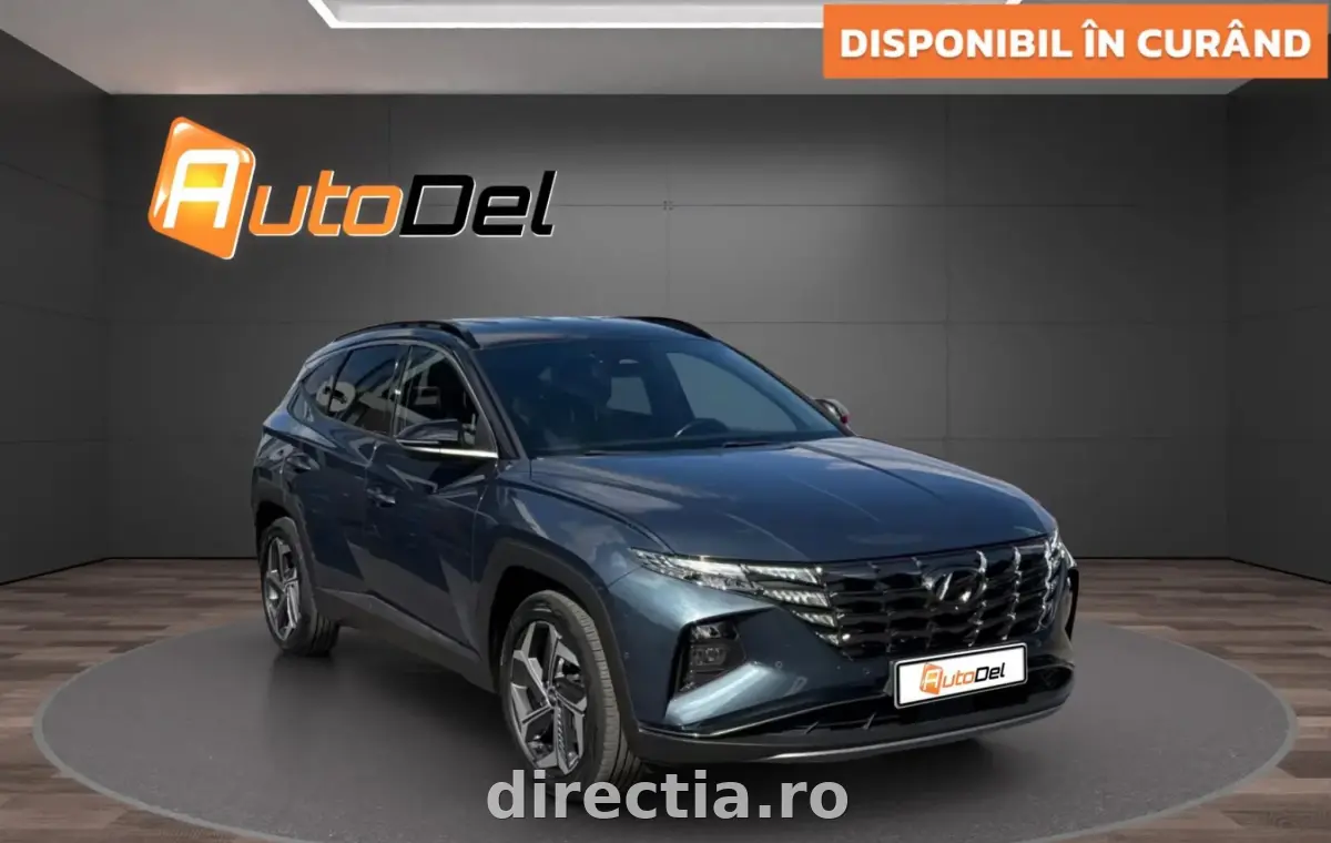 Poza principală