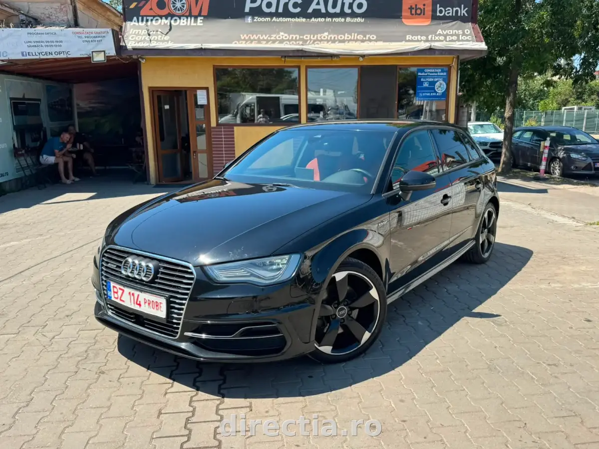 Poza principală