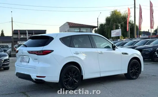 Poza anunț 10
