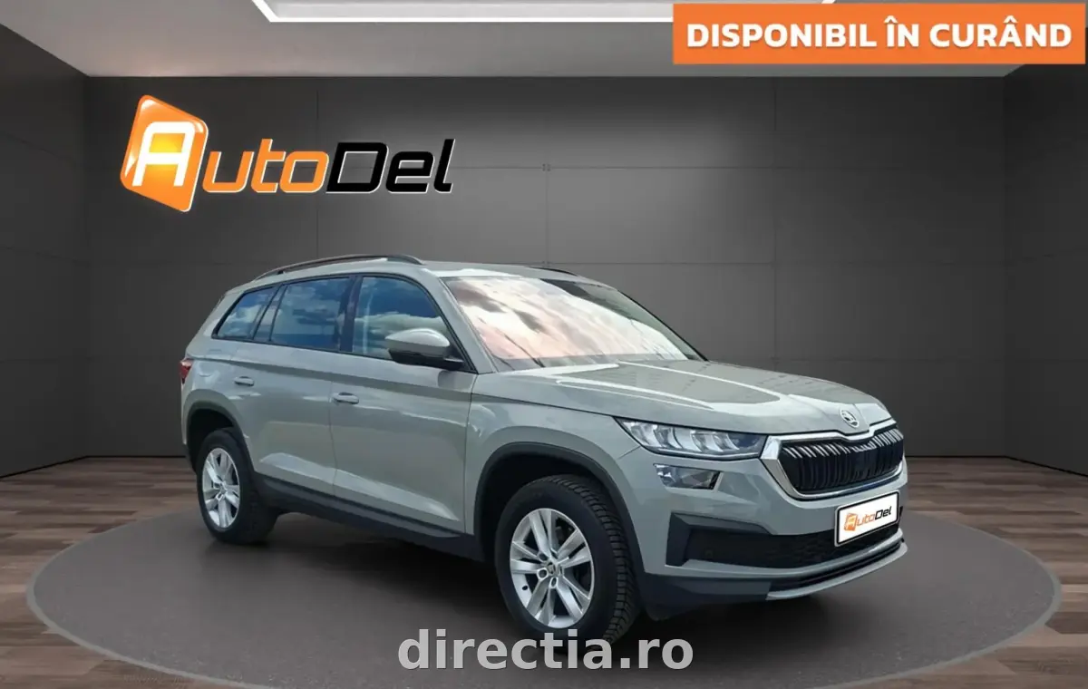 Poza principală