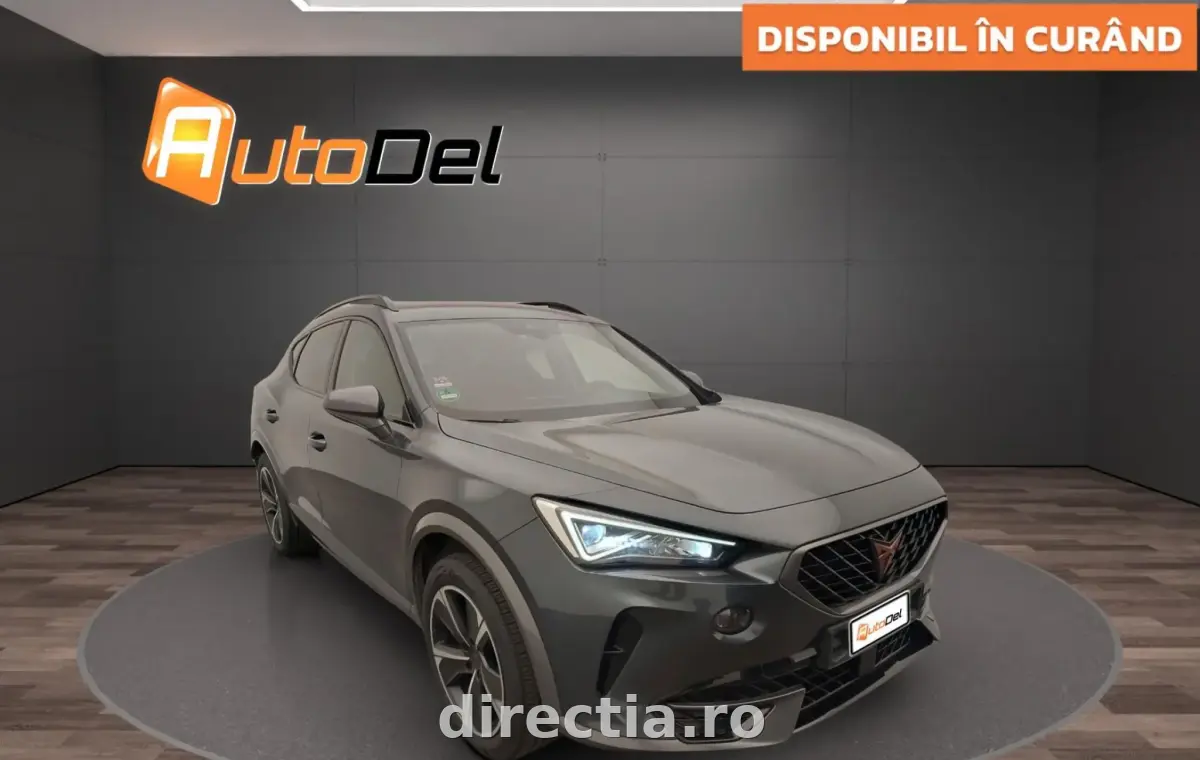 Poza principală