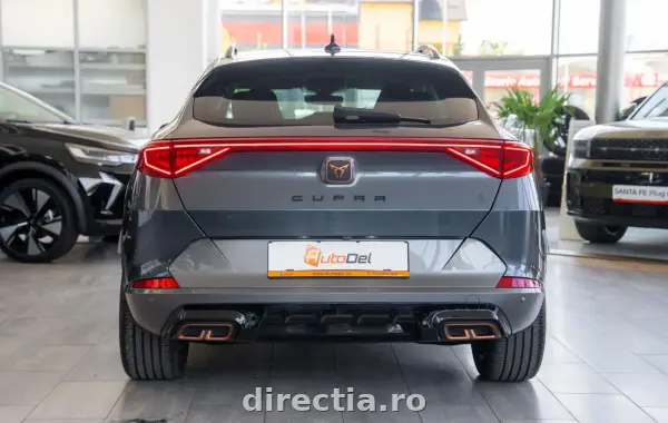 Poza anunț 6