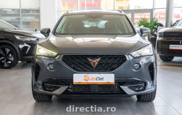 Poza anunț 2