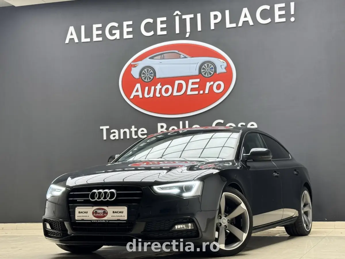 Poza principală