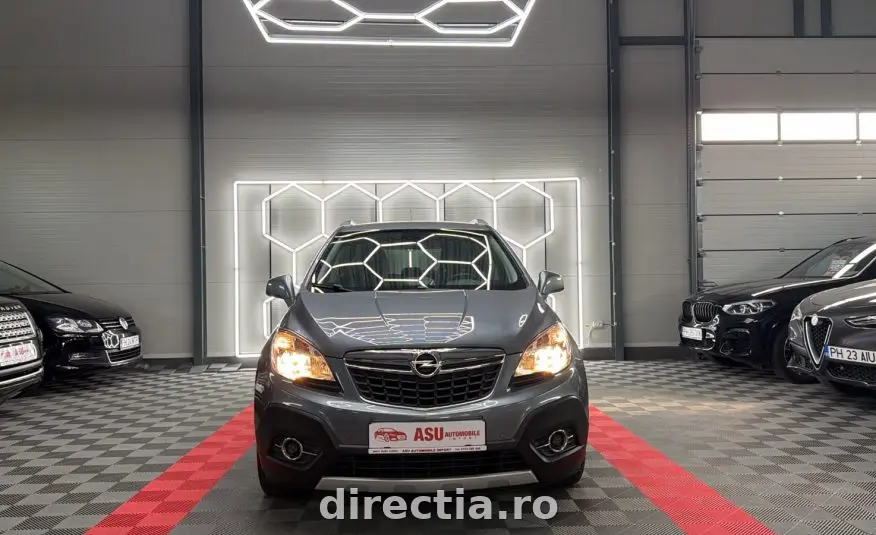 Poza principală